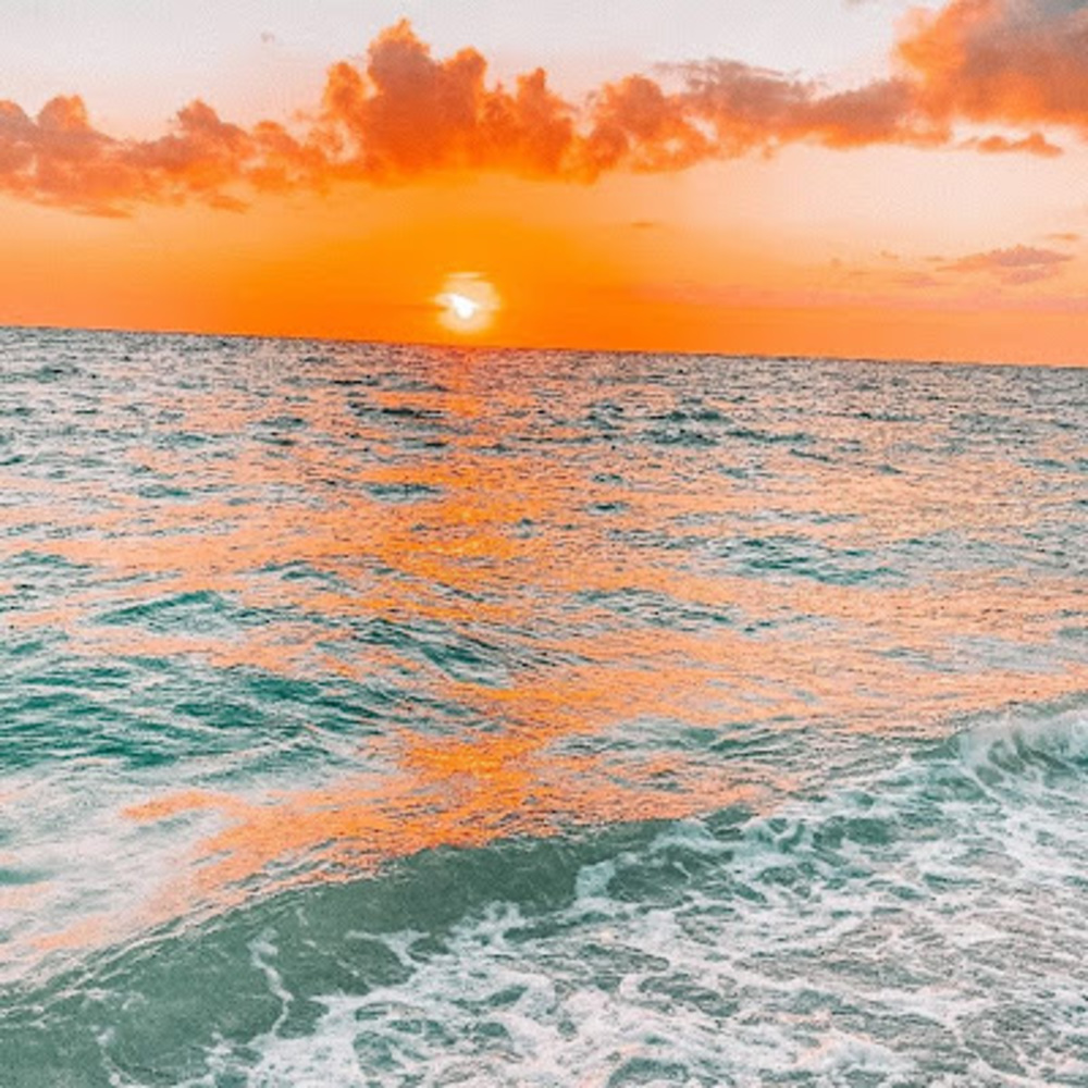 Meet your Posher, Peyton